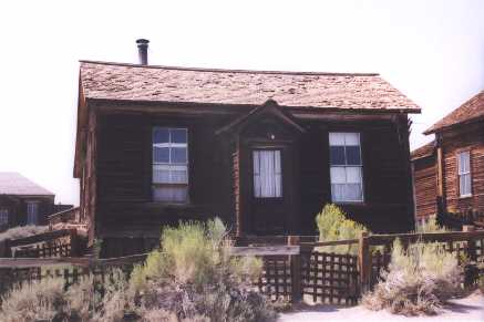 Hops grown in the garden were the only green plants that could survive in Bodie