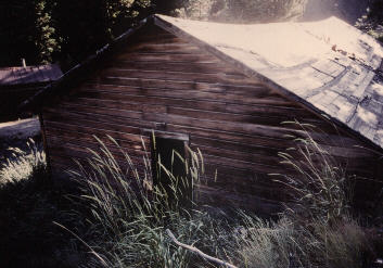 this building is almost covered by overgrowth