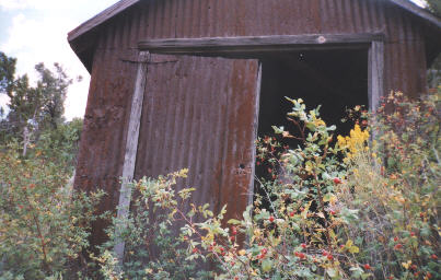 wanna sleep here?(it's got a good roof)