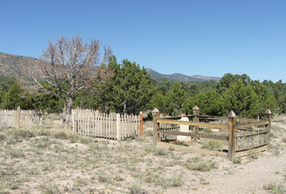 this is a medium sized cemetery